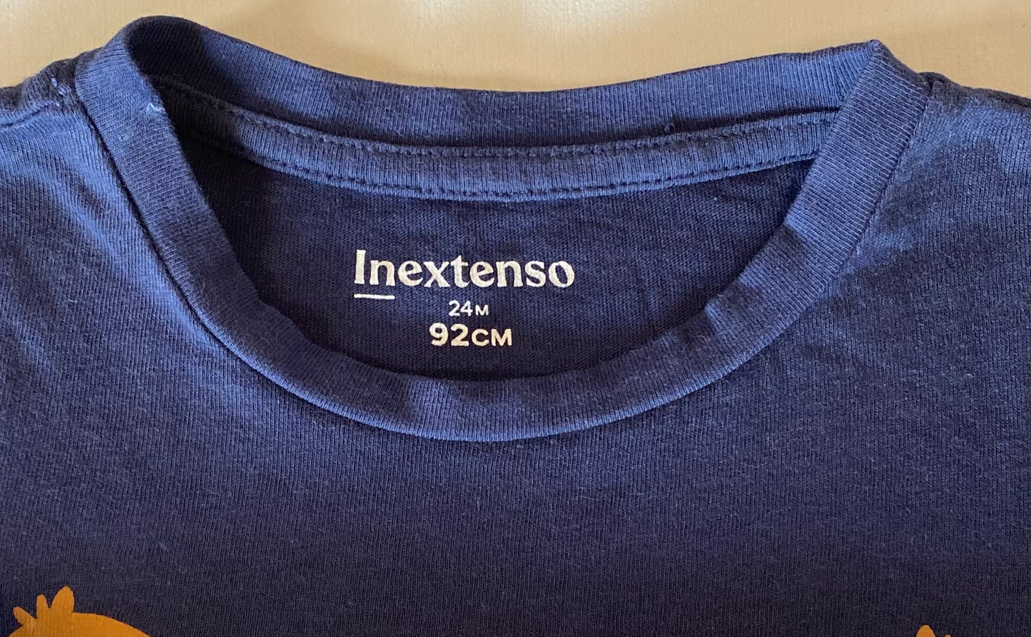 Camiseta "INEXTENSO"