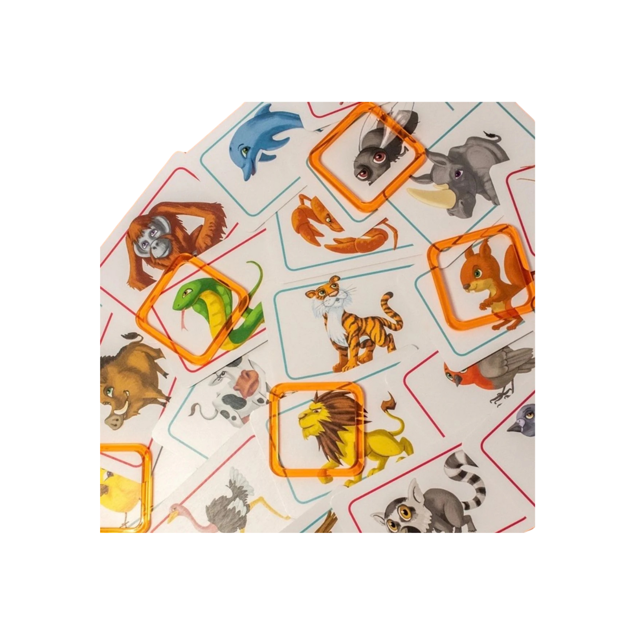 Jogo para crianças "Concept Kids Animals - GALÁPAGOS"
